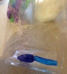 Fish in a bag