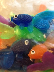 Fishies!