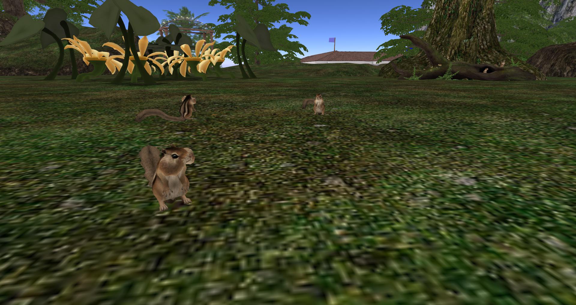 Final landscaping 6 1 18_025